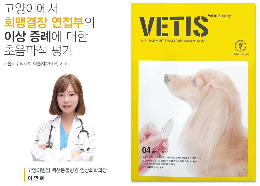 vetis-이연혜.jpg