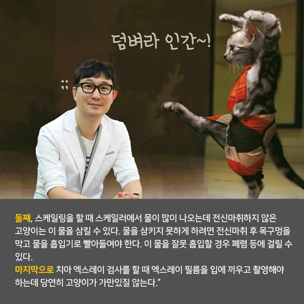 05.jpg