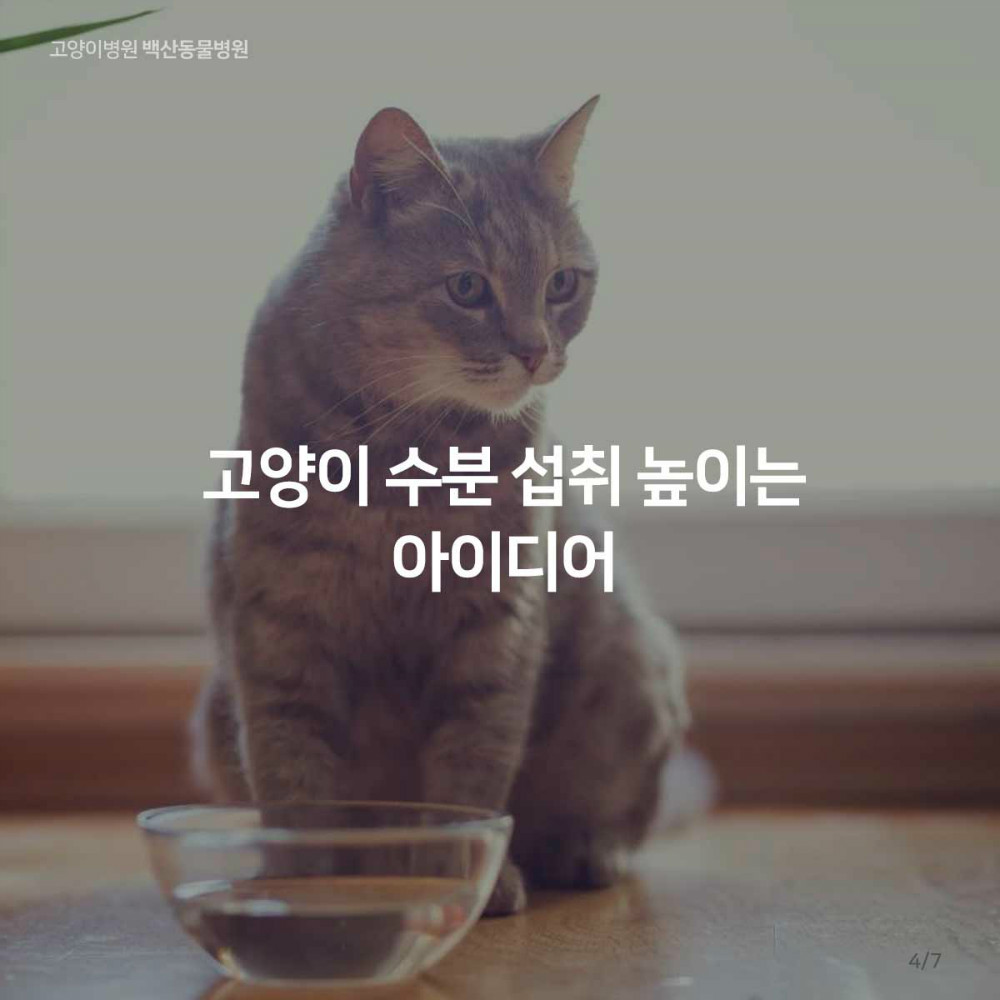 05.jpg