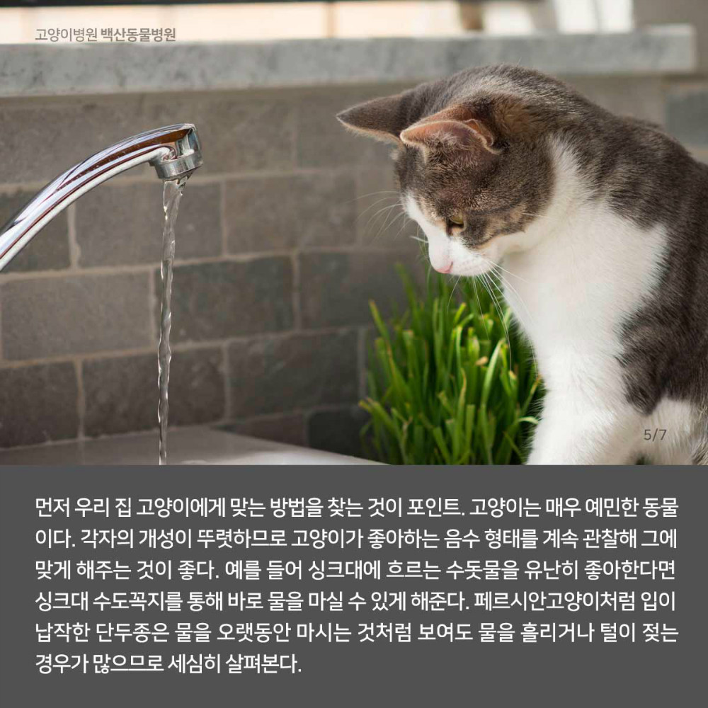 06.jpg