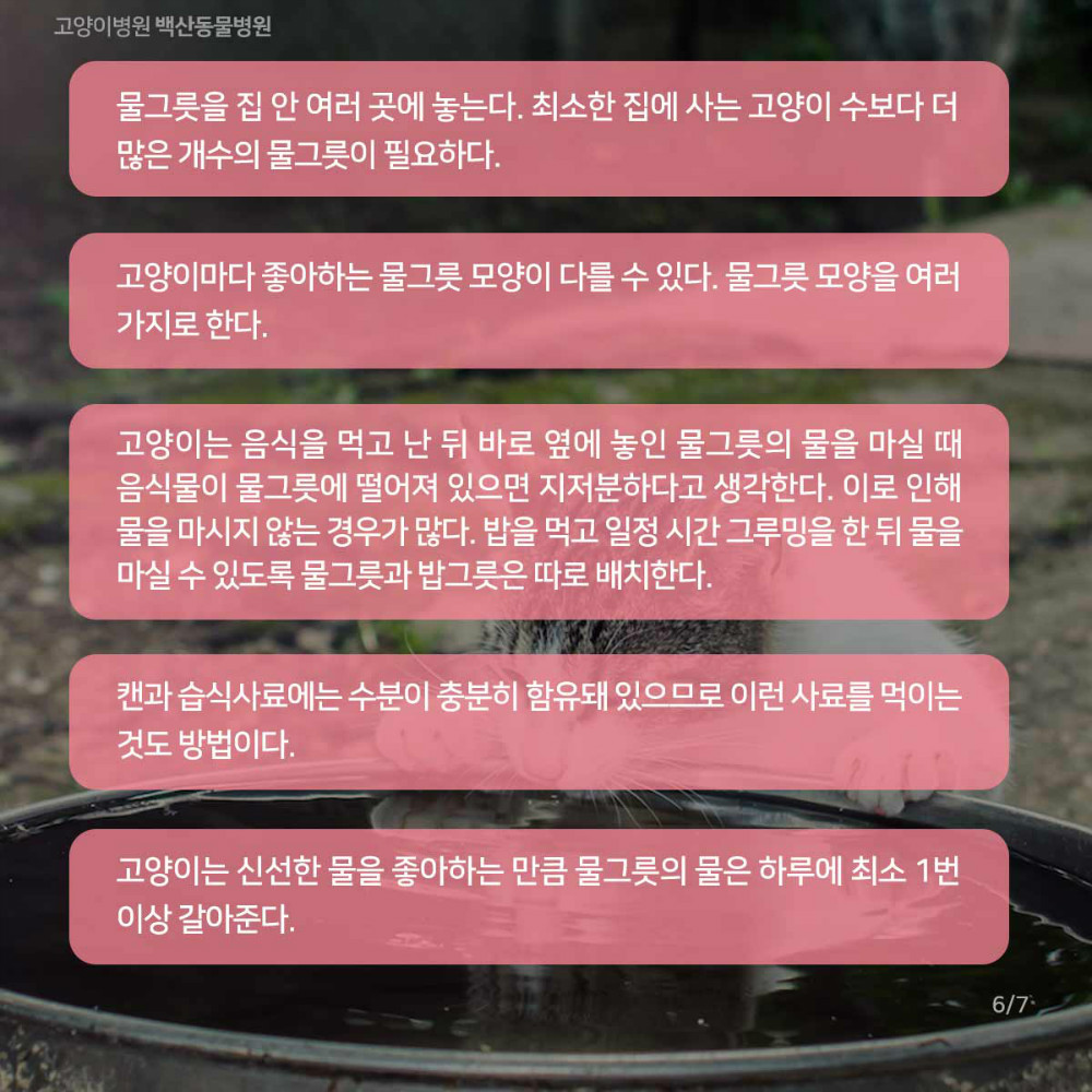 07.jpg