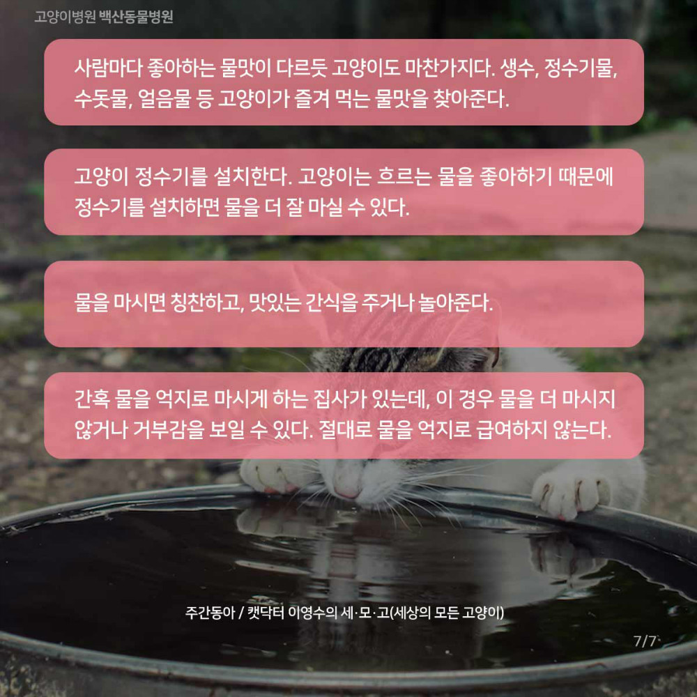 08.jpg