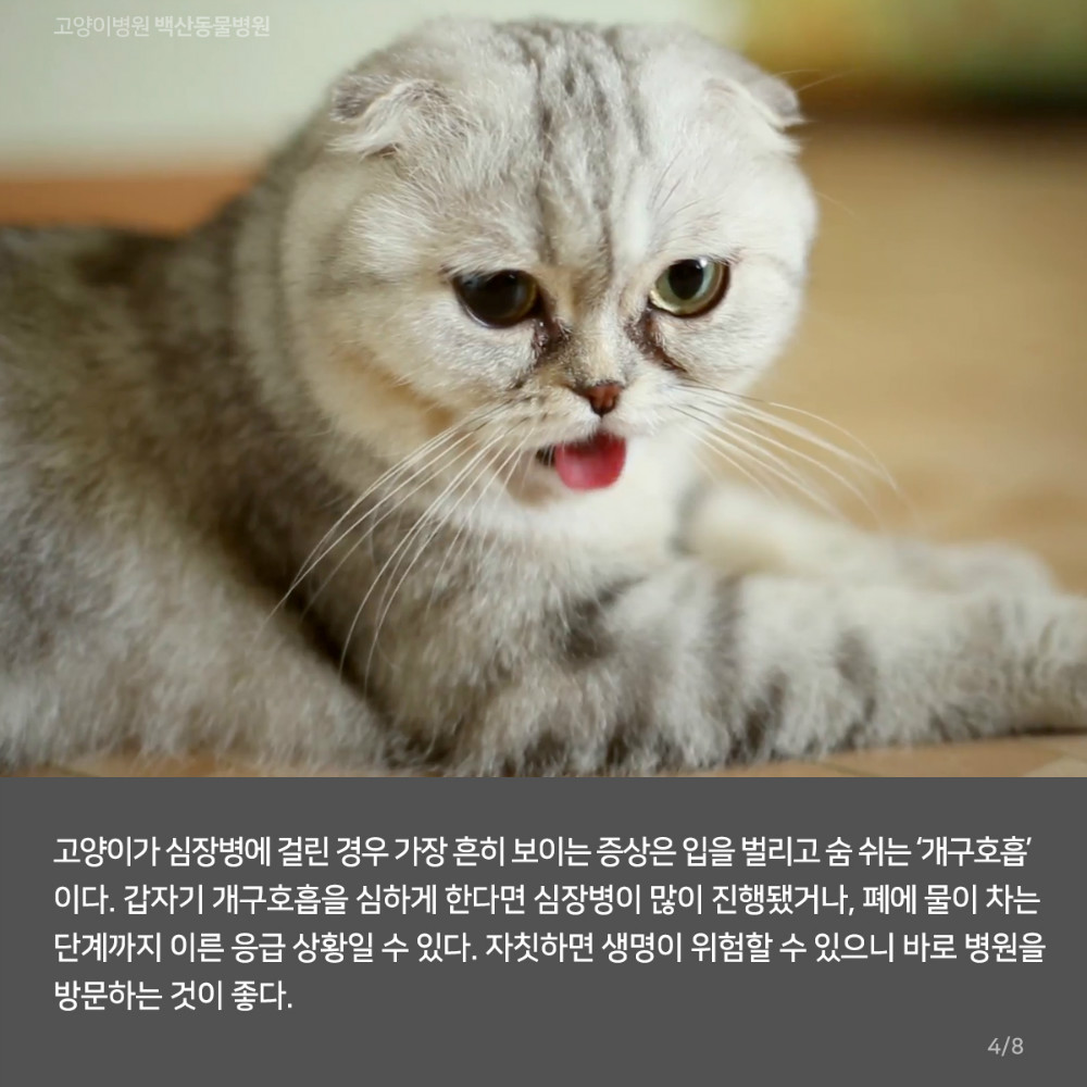 05.jpg