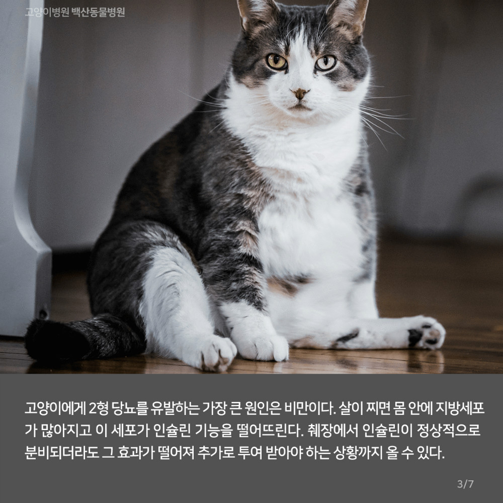 04.jpg