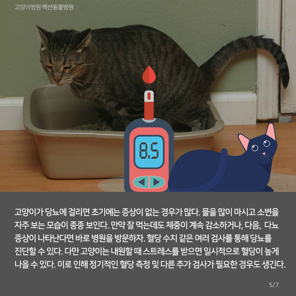 06.jpg