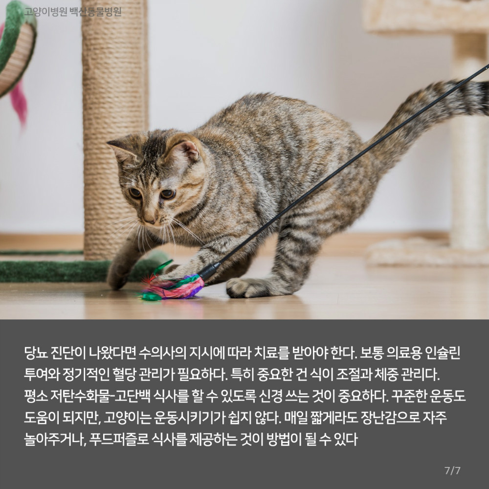 08.jpg