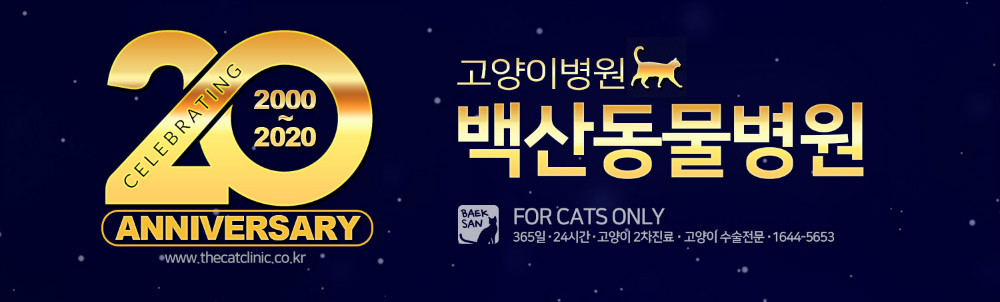 20주년.jpg